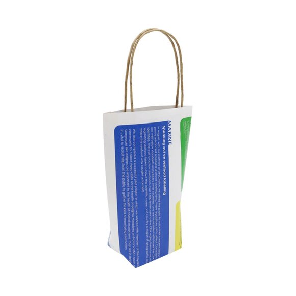 Greenii Extra Small Handmade Newsprint Paper Bags Recyclable Paper Grocery Bags - Picture 1 of 5
